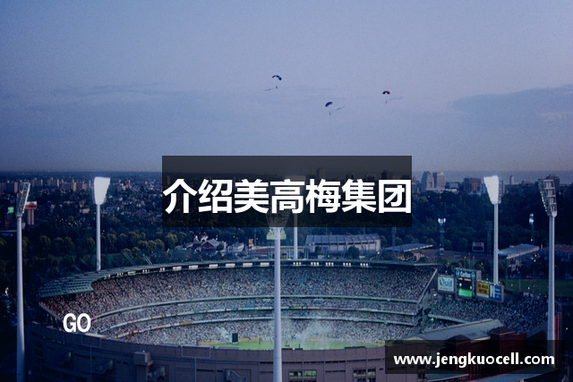 介绍美高梅集团